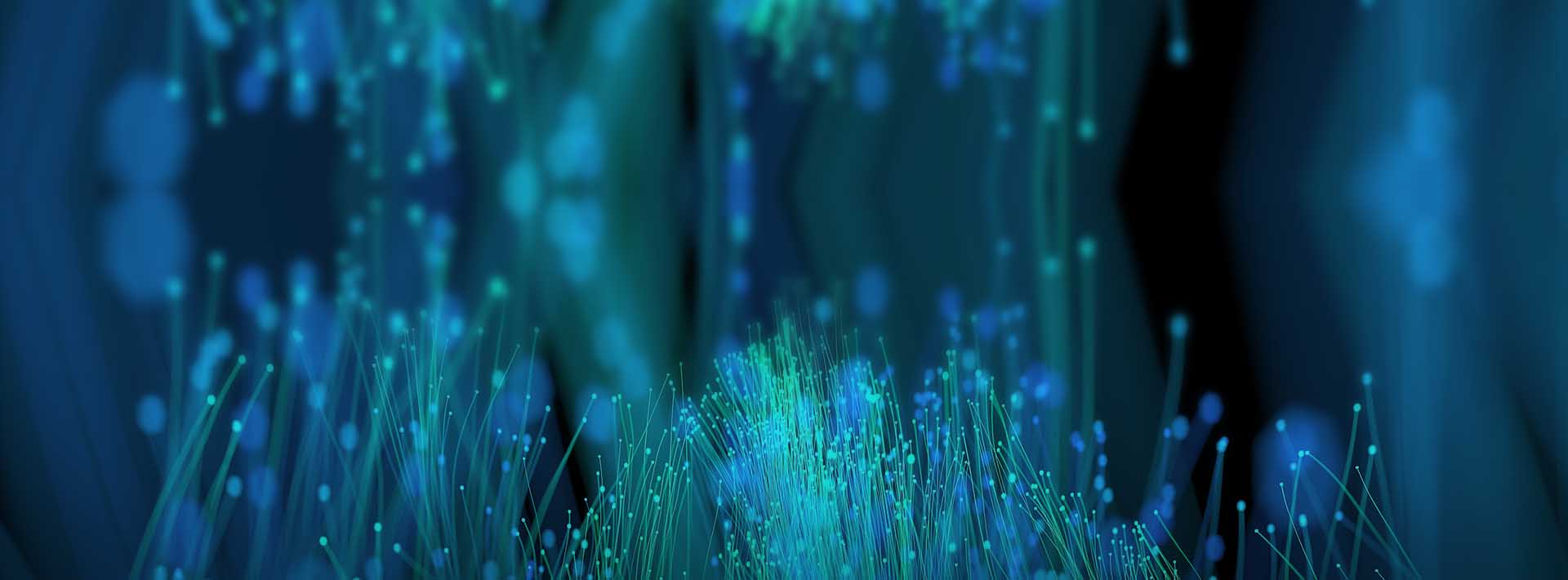 監(jiān)督舉報(bào)